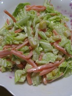 簡単☆コールスロー-レシピのメイン写真