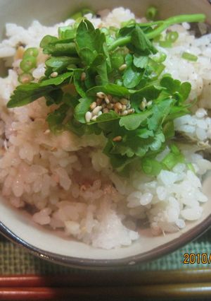 鯛飯-レシピのメイン写真