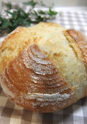 コルプが無くともカンパを作ろう！！！-レシピのメイン写真