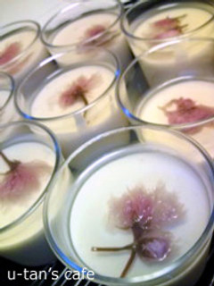 春を食べちゃえ♪桜のムース-レシピのメイン写真