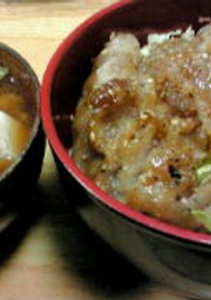 すっぱ美味しい豚丼-レシピのメイン写真
