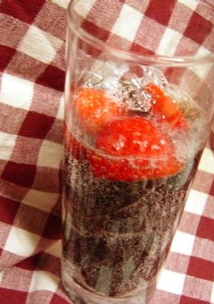 お酒好きに捧げるサイダードリンク✿-レシピのメイン写真