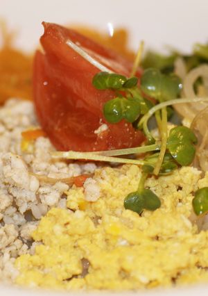 ５色そぼろ丼-レシピのメイン写真