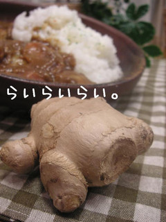 ピリ辛!ジンジャーカレー-レシピのメイン写真