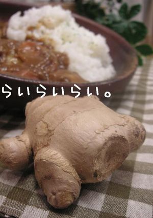 ピリ辛！ジンジャーカレー-レシピのメイン写真