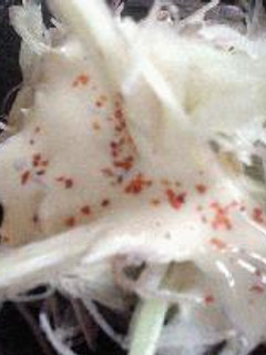 はなびし草のミョウガのサラダ-レシピのメイン写真