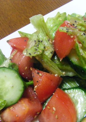 モリモリ食べよ!!生野菜サラダ-レシピのメイン写真