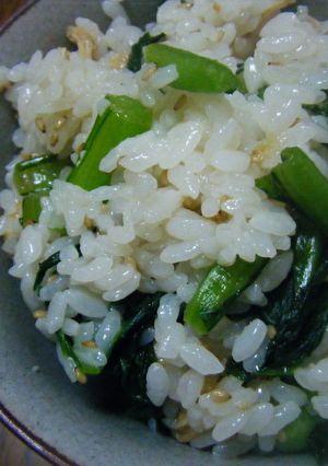 朝でも晩でも♪簡単　菜めし-レシピのメイン写真