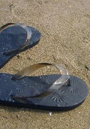 夏をあきらめて・・・・-レシピのメイン写真