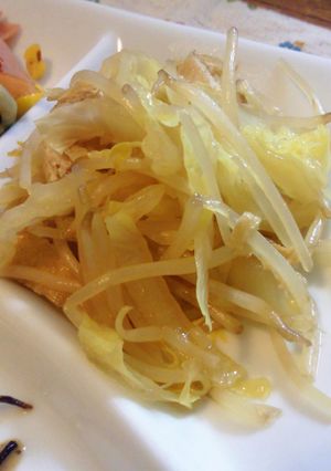 ★シンプルな味！もやしと白菜の煮浸し★-レシピのメイン写真