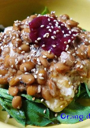 アイスプラントの梅とろろ納豆がけ-レシピのメイン写真