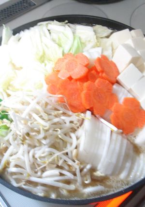 冷蔵庫にあるお野菜で鶏団子鍋-レシピのメイン写真