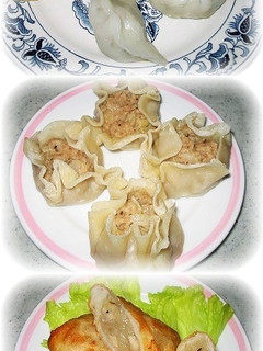 米粉の皮で!餃子・シューマイ・春巻き!!-レシピのメイン写真
