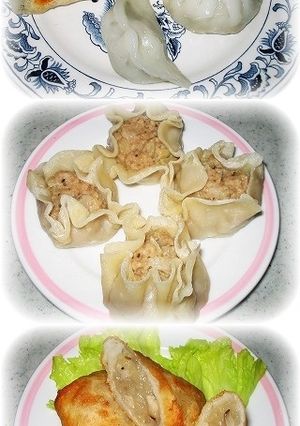 米粉の皮で！餃子・シューマイ・春巻き!!-レシピのメイン写真