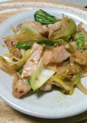 豚肉と野菜炒め　ごまドレッシング味-レシピのメイン写真