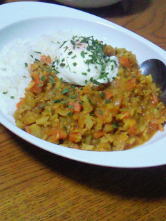 シャキシャキ☆レンコン入り!キーマカレー-レシピのメイン写真
