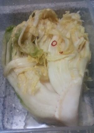 冷蔵庫で白菜のつけもの-レシピのメイン写真