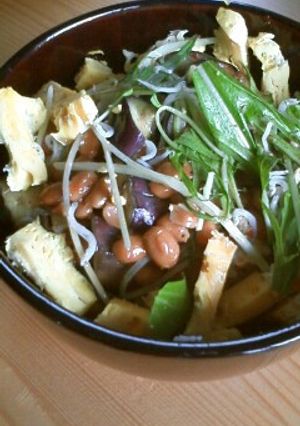 納豆と茄子のピリ辛丼-レシピのメイン写真