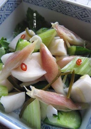 香の物【香り浅漬け】ごめんよ大人味。-レシピのメイン写真