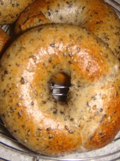 ホシノ酵母で作るごまベーグル-レシピのメイン写真