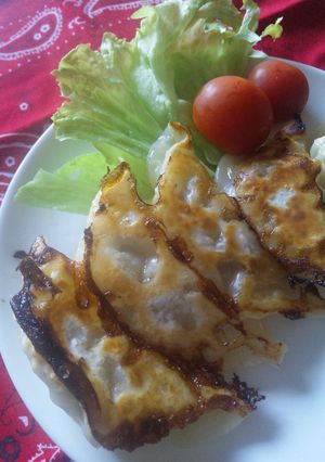 さっぱり肉餃子-レシピのメイン写真