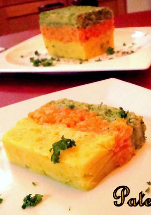 トリコロール　野菜のテリーヌ-レシピのメイン写真