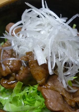 お手軽*焼肉丼-レシピのメイン写真