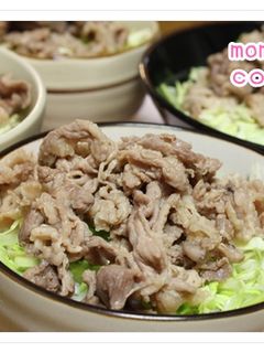 簡単 豚肉のしょうが焼き丼-レシピのメイン写真