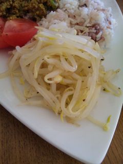 もやしマリネ-レシピのメイン写真