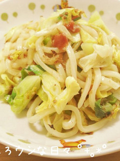 ネギとキャベツ 梅入りあっさり焼きうどん-レシピのメイン写真