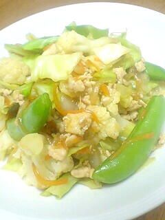 ヘルシー♪たっぷり野菜炒め-レシピのメイン写真