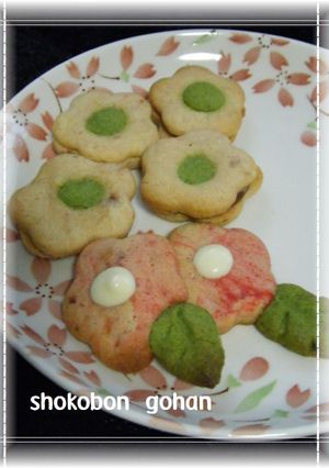 春爛漫✿お花チョコサンドクッキー-レシピのメイン写真