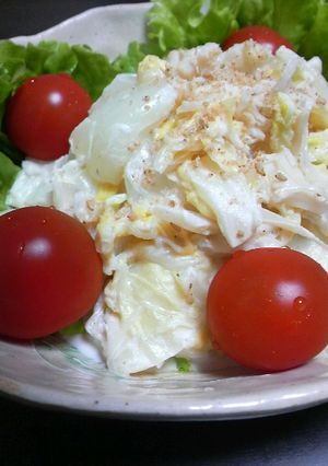 ホタテ白菜サラダ-レシピのメイン写真