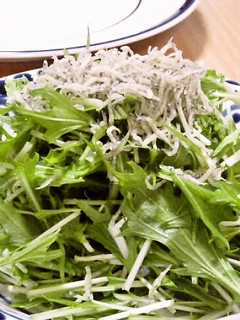シャキシャキ水菜とカリカリジャコのサラダ-レシピのメイン写真