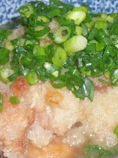簡単☆さっぱり鶏のみぞれ煮-レシピのメイン写真