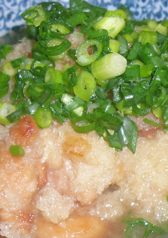 簡単☆さっぱり鶏のみぞれ煮-レシピのメイン写真