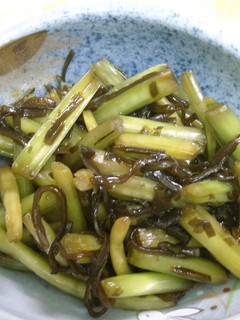 簡単!!ワサビの茎の塩昆布漬-レシピのメイン写真