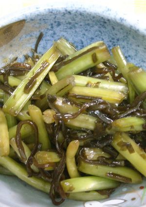 簡単!!ワサビの茎の塩昆布漬-レシピのメイン写真