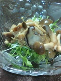 旨々♪ きのこのマリネで水菜のサラダ-レシピのメイン写真