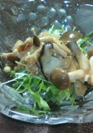 旨々♪ きのこのマリネで水菜のサラダ-レシピのメイン写真