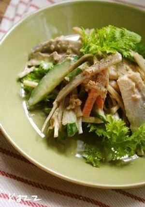 根菜のサラダ-レシピのメイン写真