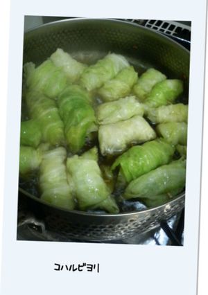 ソーセージ in ロールキャベツ-レシピのメイン写真