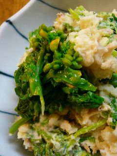 菜の花とツナで☆春の和風ポテトサラダ-レシピのメイン写真