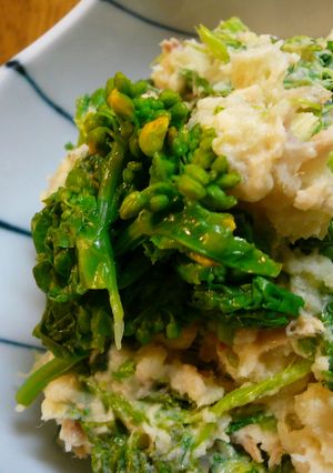 菜の花とツナで☆春の和風ポテトサラダ-レシピのメイン写真