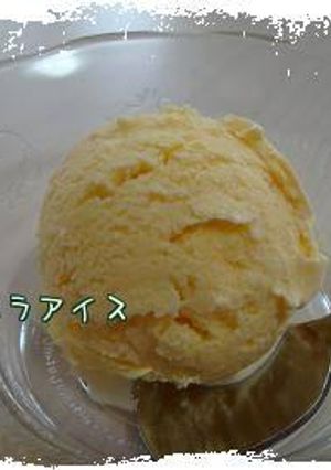 簡単絶品バニラアイス*-レシピのメイン写真