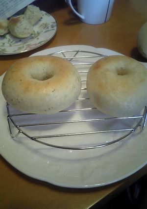 酒粕ベーグル-レシピのメイン写真