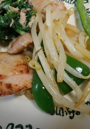 塩麹の鶏焼きと蒸し野菜-レシピのメイン写真