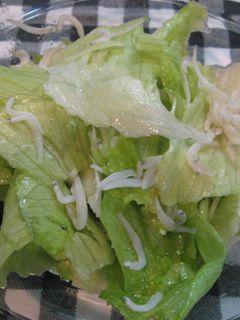 レタスしらすサラダ-レシピのメイン写真