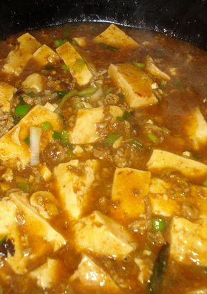 ニーハオ！マーボー豆腐と申します！-レシピのメイン写真