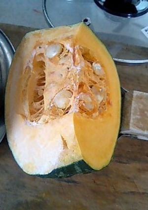 離乳食用　かぼちゃのペースト-レシピのメイン写真